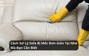 cách xử lý sofa da bị mốc