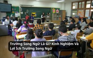 trường song ngữ là gì